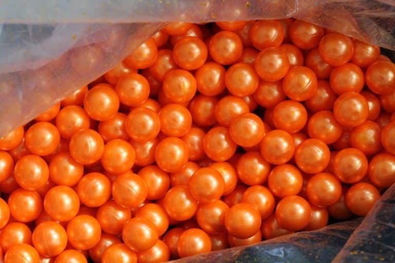 Why do Paintballs Fall Out of my Barrel? Playground Baron